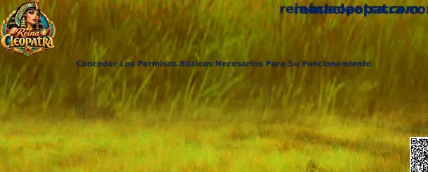 Guía para revisar y conceder permisos básicos de Reina Cleopatra