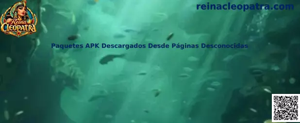 Guía sobre seguridad de paquetes APK descargados desde páginas desconocidas